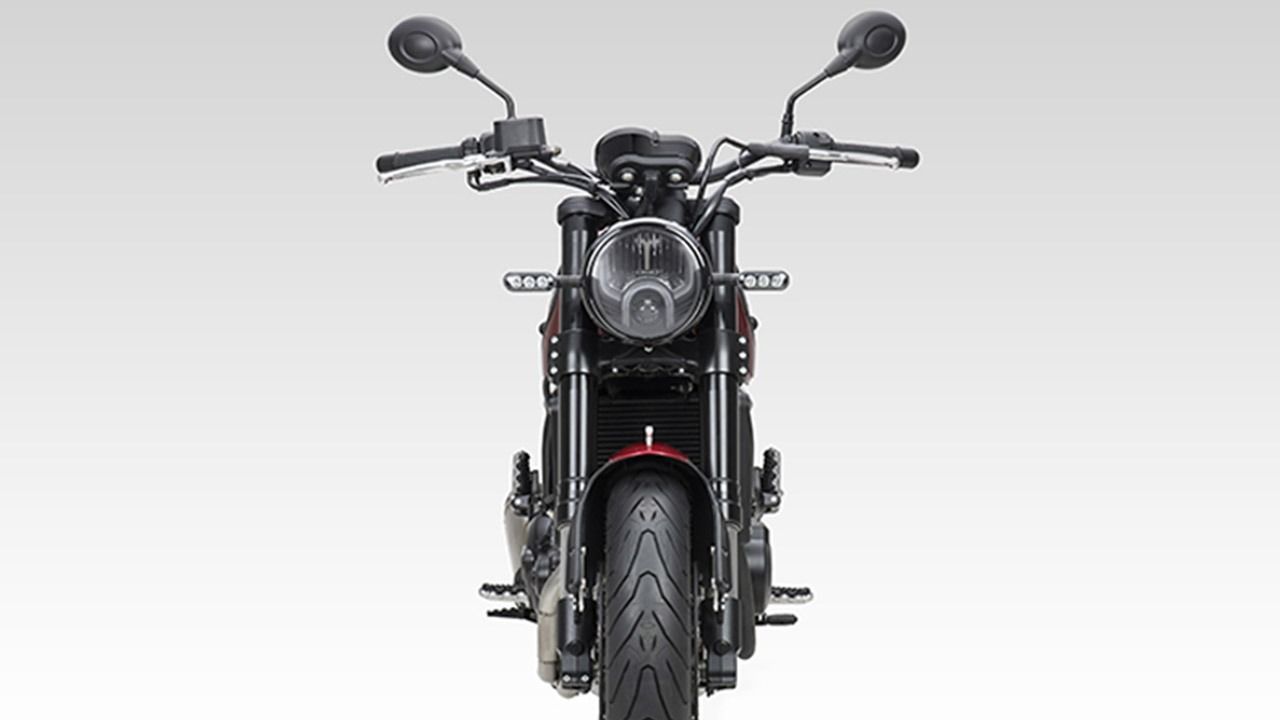 Benelli Leoncino 500 Image 9 