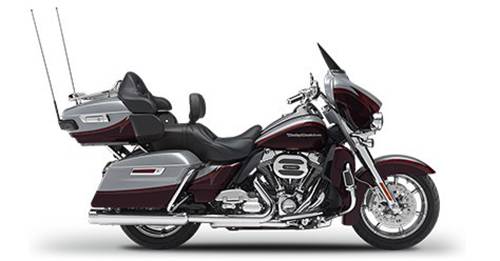 CVO Limited