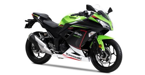 Ninja 300 [2022]